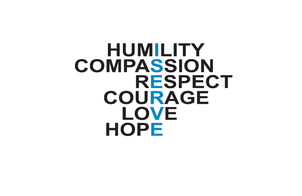 collaborative team, enthusiastic expression, brainstorming session, photorealistic, cozy meeting room with sticky notes on walls, highly detailed, dynamic hand motions and conversations, Fujifilm X-T4, pastel color scheme, soft diffused lighting, shot with a 35mm lens.
